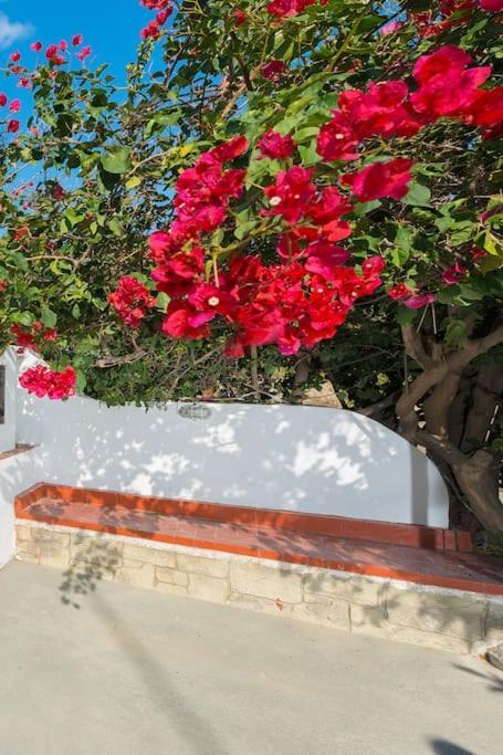 Greek Style Ground Floor Apartment & Pool Ialysos  Exterior foto
