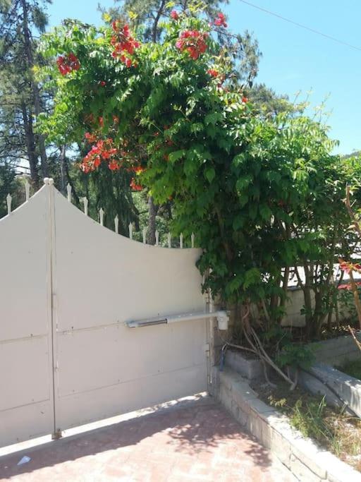 Greek Style Ground Floor Apartment & Pool Ialysos  Exterior foto